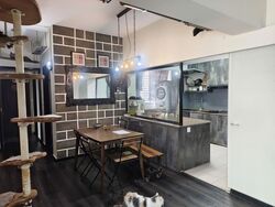 Blk 871B Tampines Greenlace (Tampines), HDB 4 Rooms #554036911